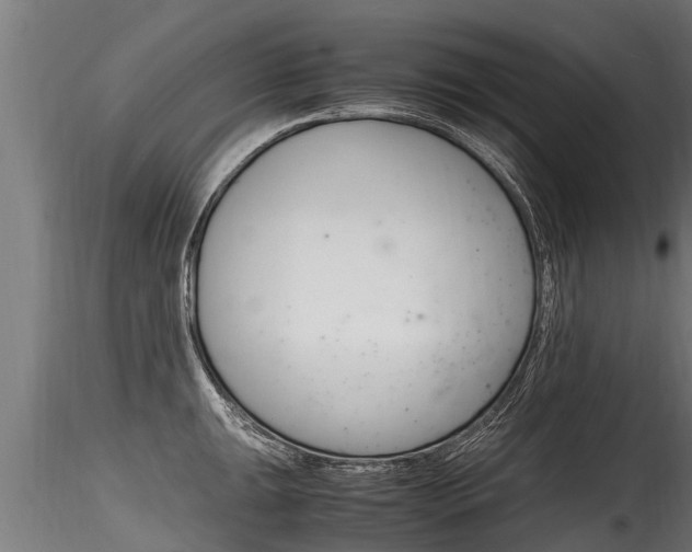 X0000116261047200911300948