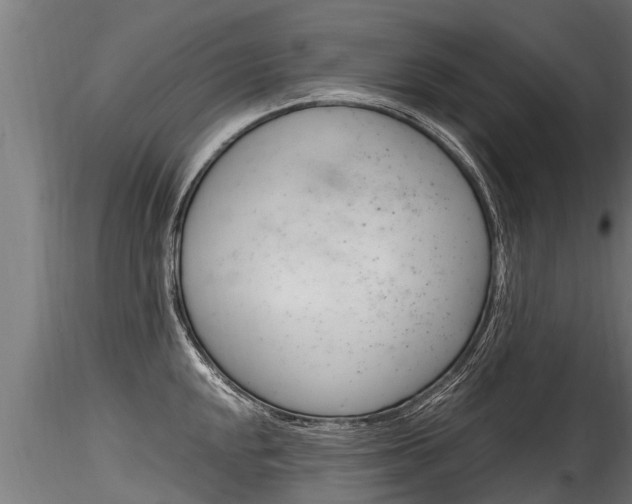 X0000116261048200911300948