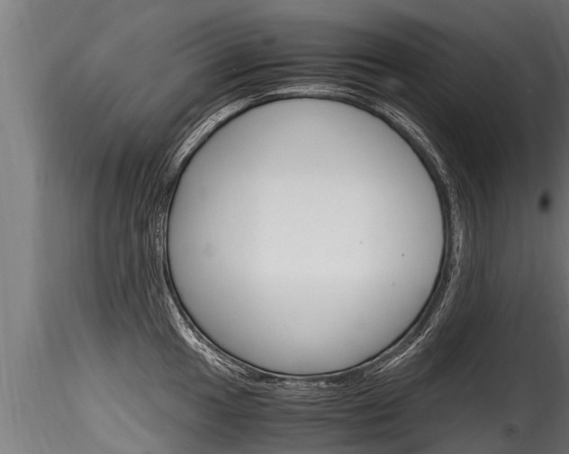 X0000116261049200911300948