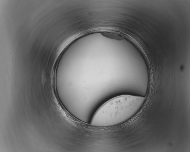 X0000116261050200911300948