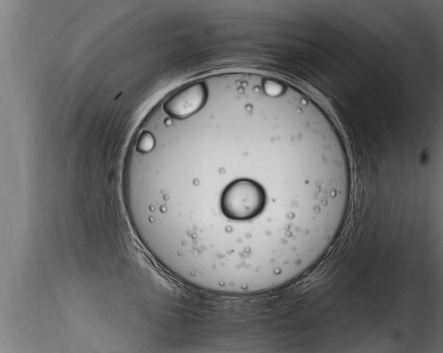 X0000116261051200911300948