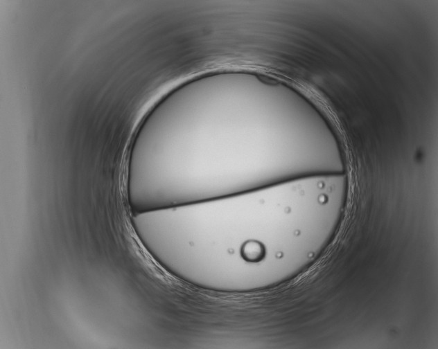 X0000116261052200911300948