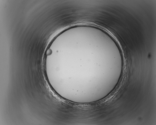X0000116261053200911300948
