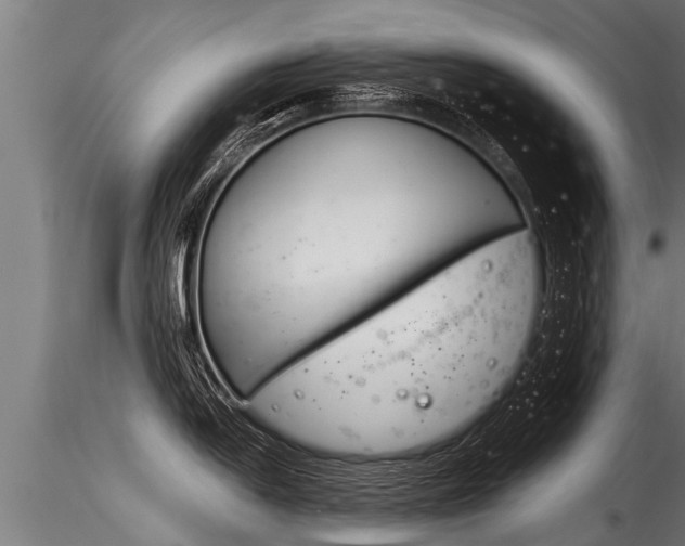 X0000116261054200911300948