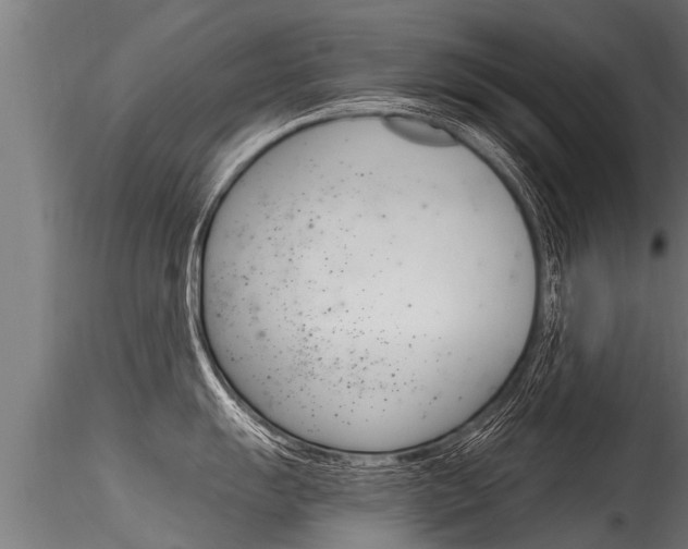 X0000116261055200911300948