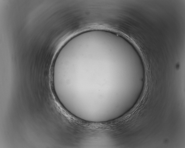 X0000116261056200911300948