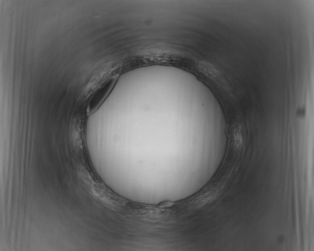 X0000116261060200911300947