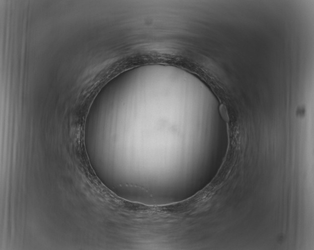 X0000116261061200911300947