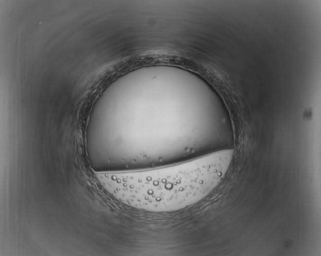 X0000116261062200911300947