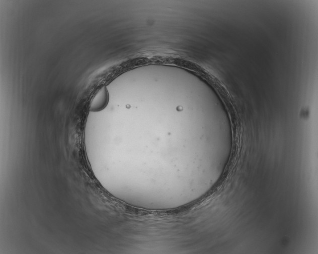 X0000116261063200911300947