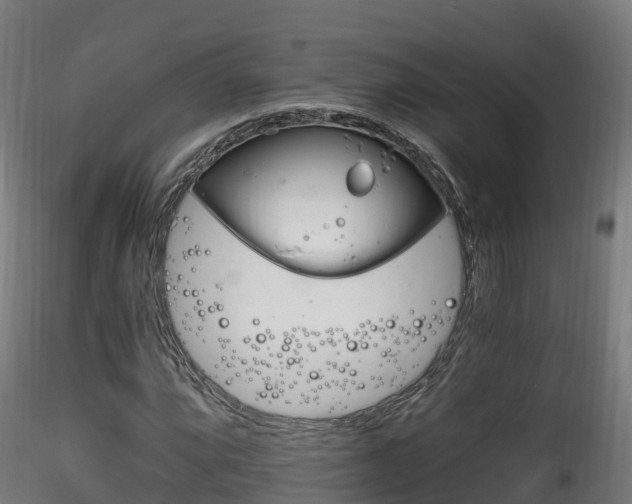 X0000116261064200911300947