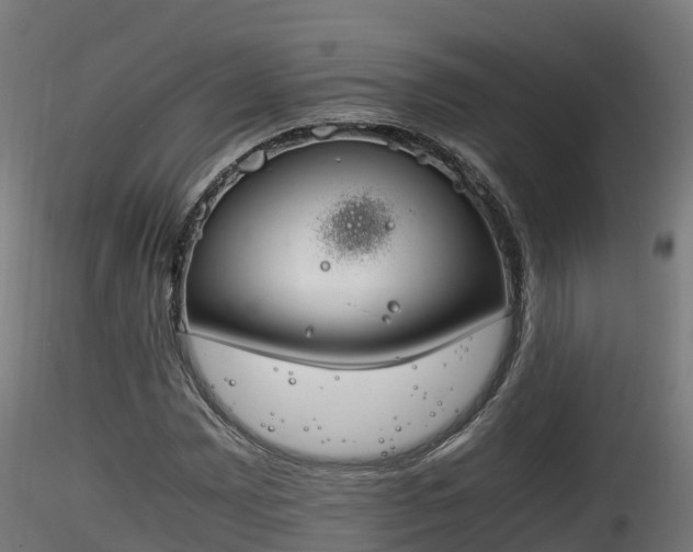 X0000116261065200911300947