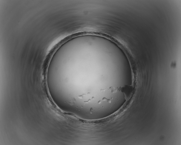 X0000116261070200911300947