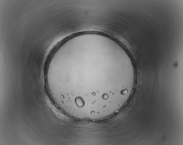 X0000116261072200911300947