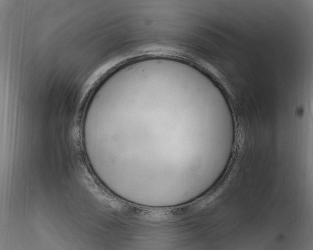 X0000116261074200911300947