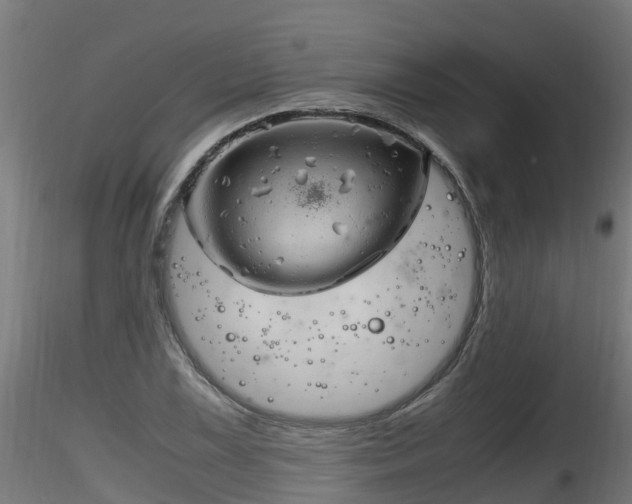 X0000116261075200911300947