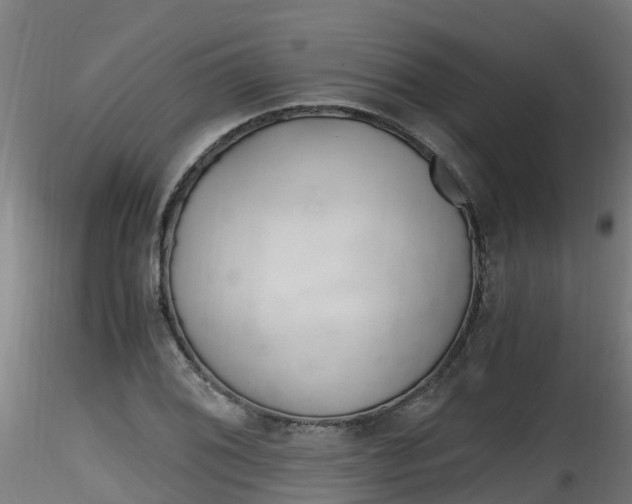 X0000116261076200911300947