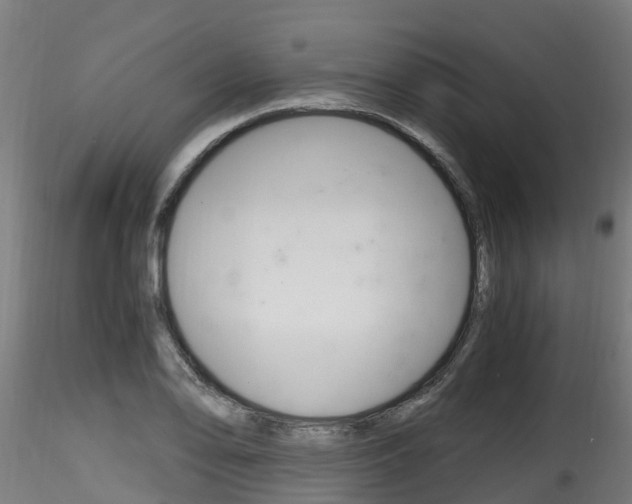 X0000116261078200911300947
