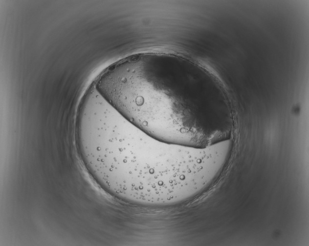 X0000116261079200911300947