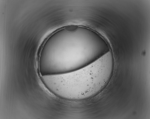 X0000116261080200911300947