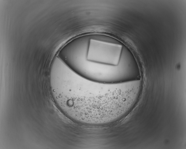 X0000116261081200911300947