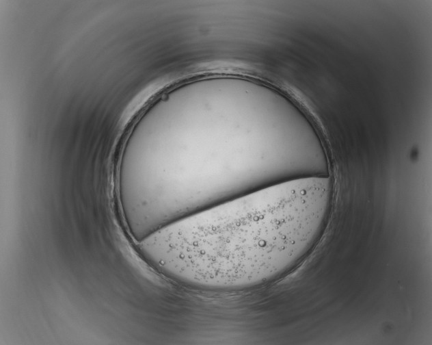 X0000116261082200911300947