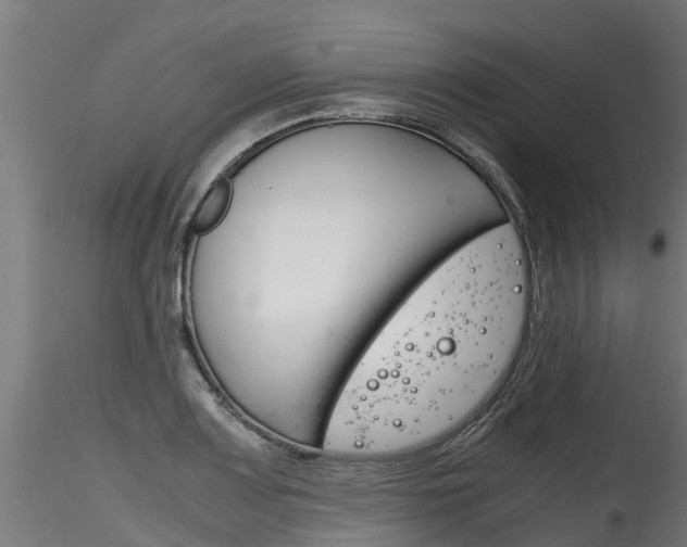 X0000116261083200911300947