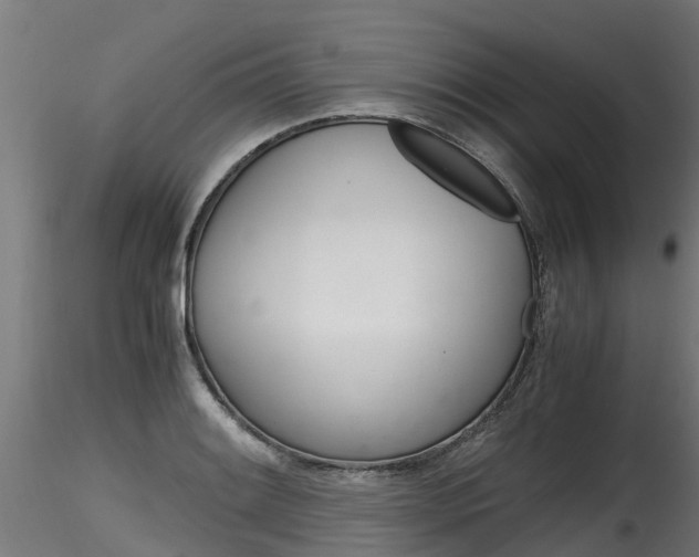 X0000116261084200911300947
