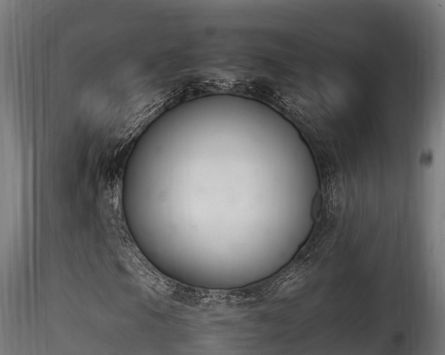 X0000116261105200911300945