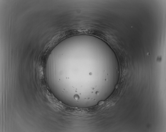 X0000116261106200911300945