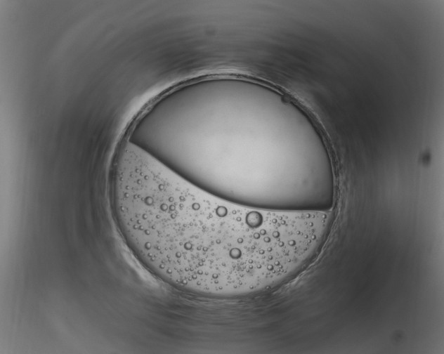 X0000116261127200911300946