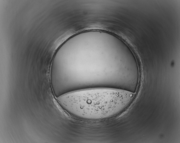 X0000116261137200911300946