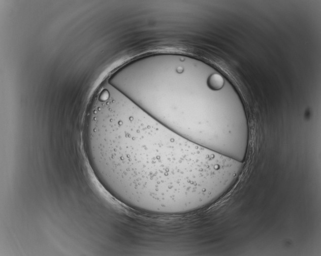 X0000116261139200911300946