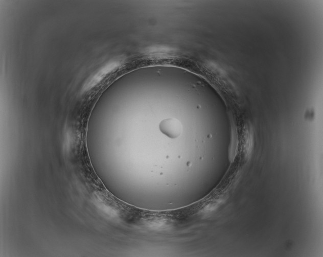 X0000116261157200911300945