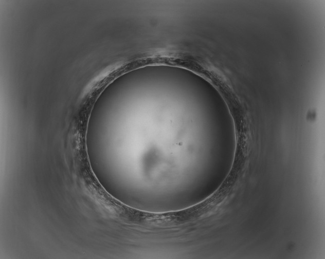 X0000116261159200911300945