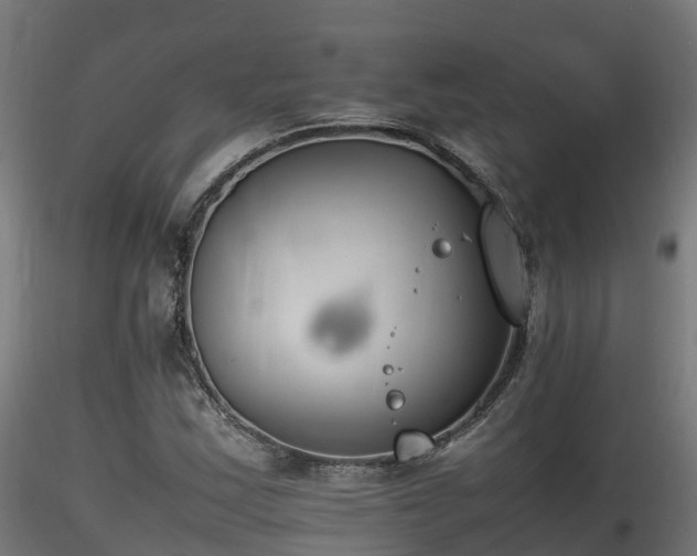 X0000116261163200911300945