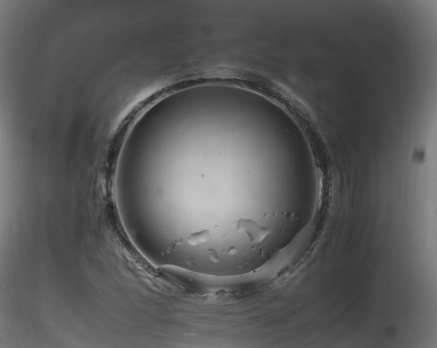 X0000116261166200911300945