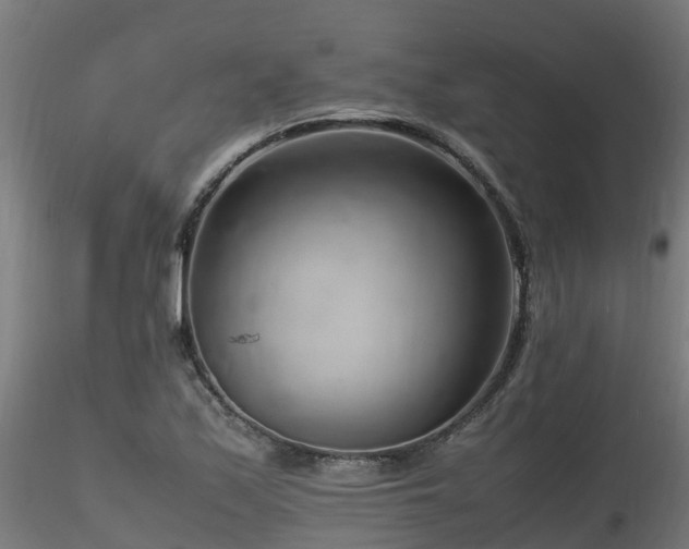 X0000116261171200911300945