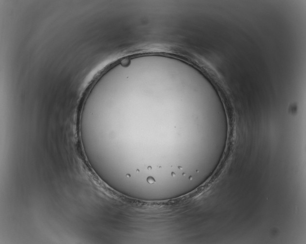 X0000116261174200911300945