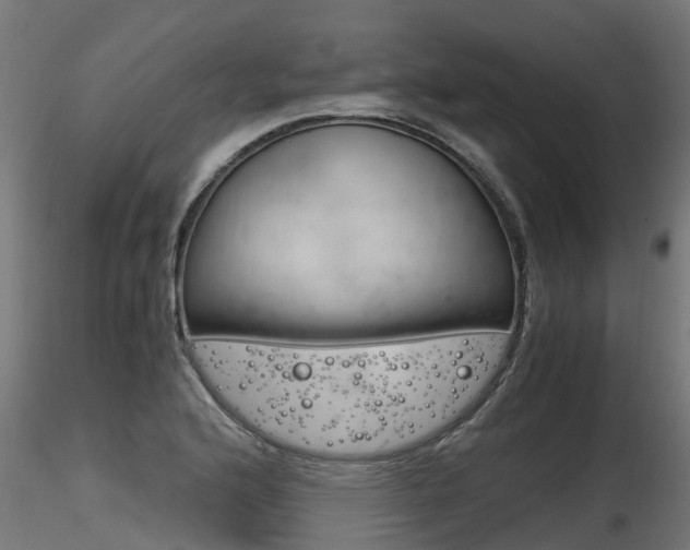 X0000116261176200911300945