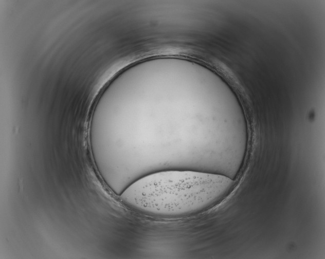 X0000116261178200911300945