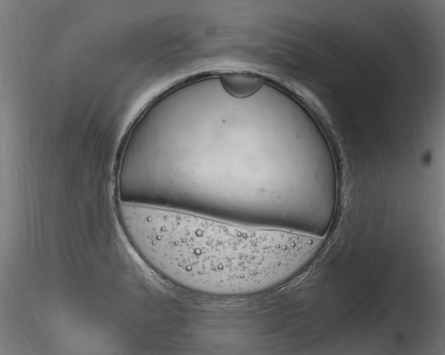 X0000116261183200911300945