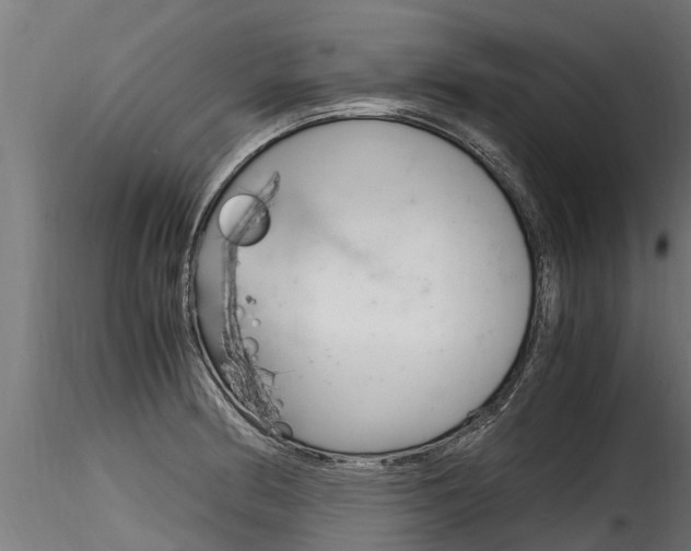 X0000116261186200911300945