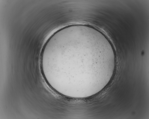 X0000116261187200911300945