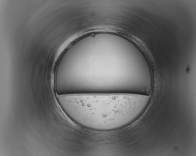 X0000116261188200911300945