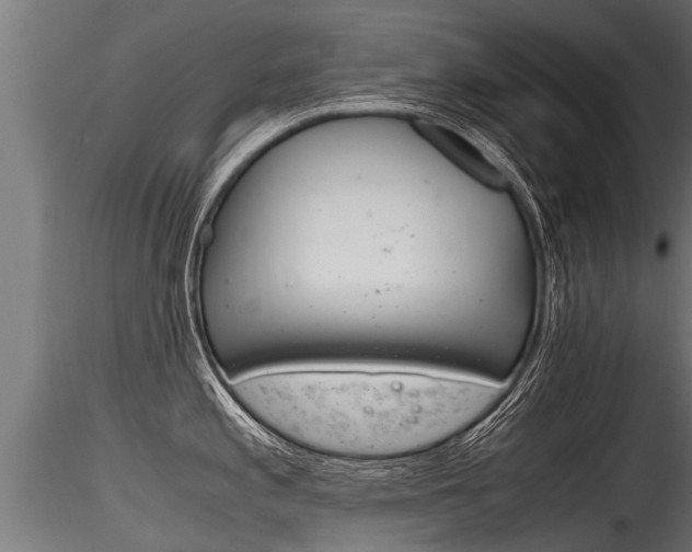 X0000116261197200911300945