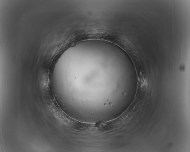 X0000116261204200911300944