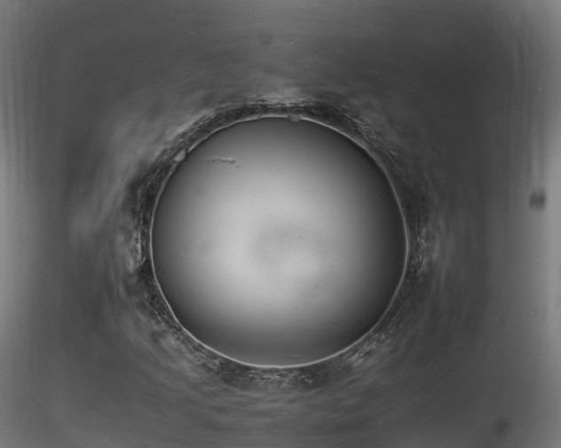 X0000116261205200911300944