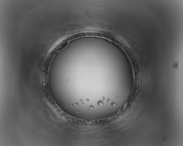 X0000116261208200911300944