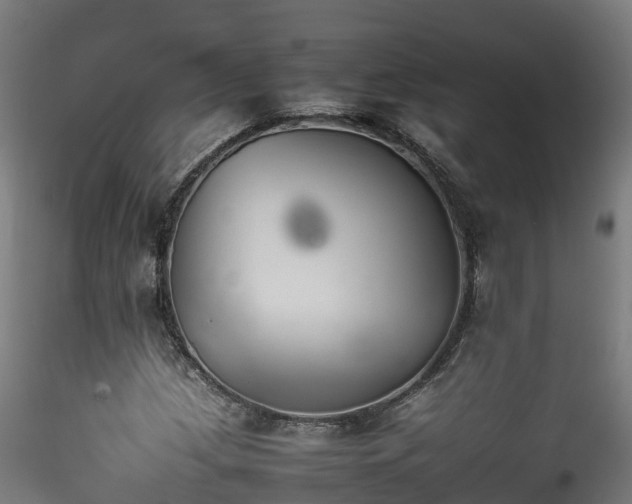 X0000116261209200911300944